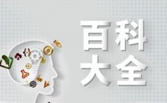 22年股价下跌-13294%